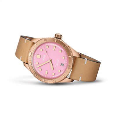 ORIS豪利時-DIVERS 系列-0173377713158-0751904BR-38mm